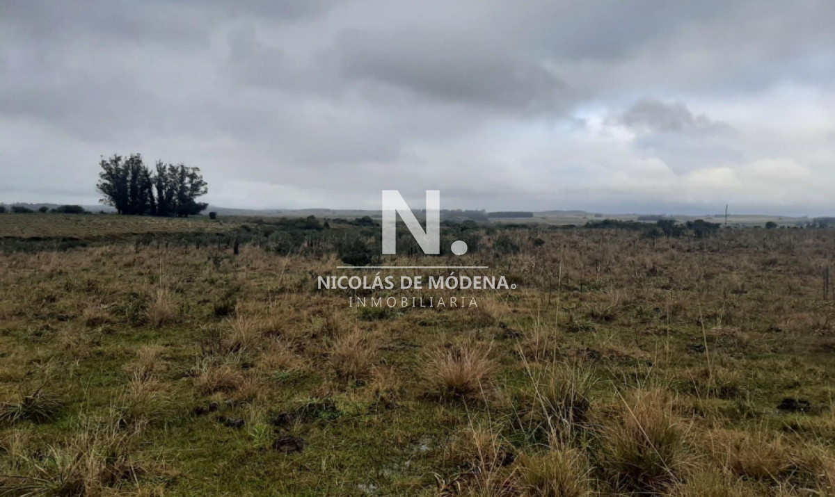 Campo en Maldonado   Garzon en venta. - GoPunta - Portal Inmobiliario de Punta del Este - Maldonado