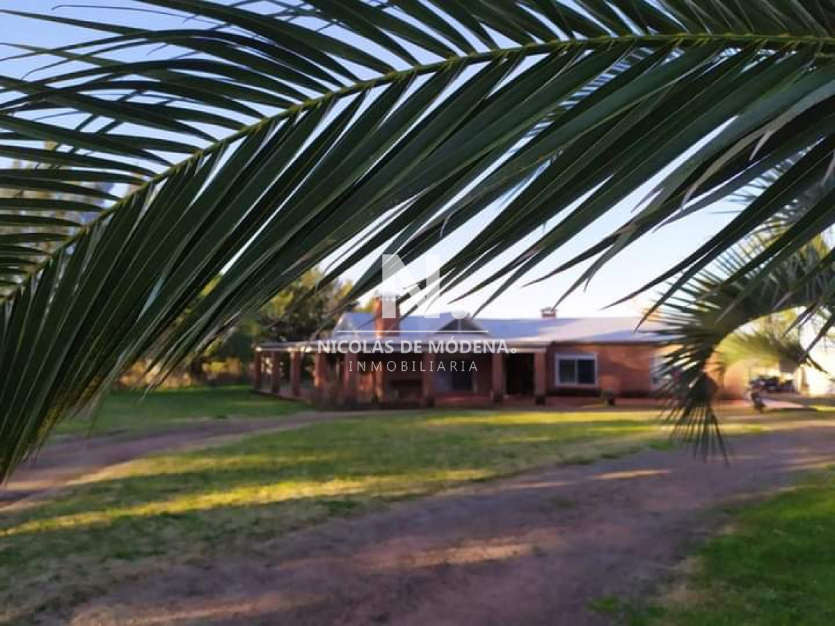 Campo en Los Ceibos - GoPunta - Portal Inmobiliario de Punta del Este - Maldonado