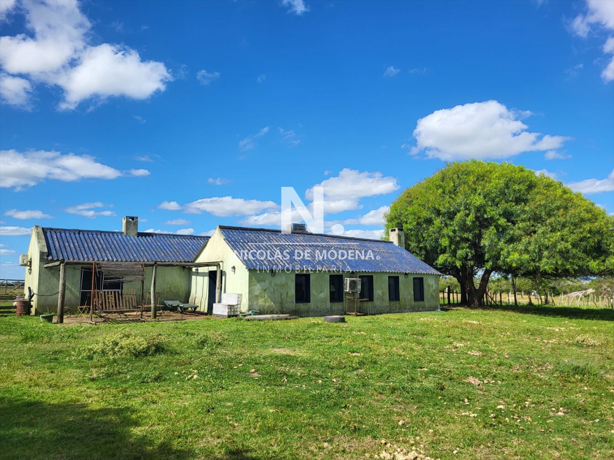 Campo