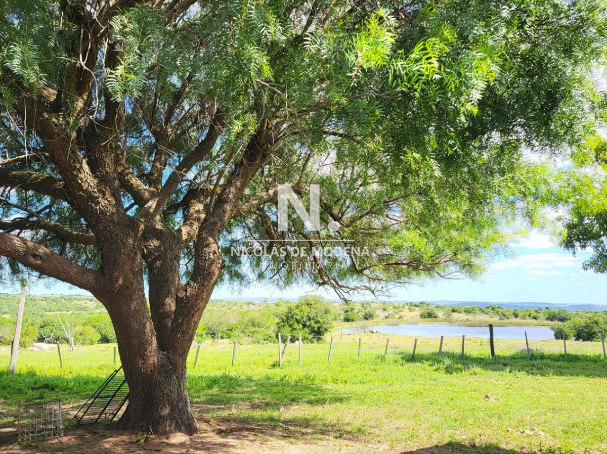 Vende Campo en Lavalleja de 1075 con casa principal y de personal. - GoPunta - Portal Inmobiliario de Punta del Este - Maldonado