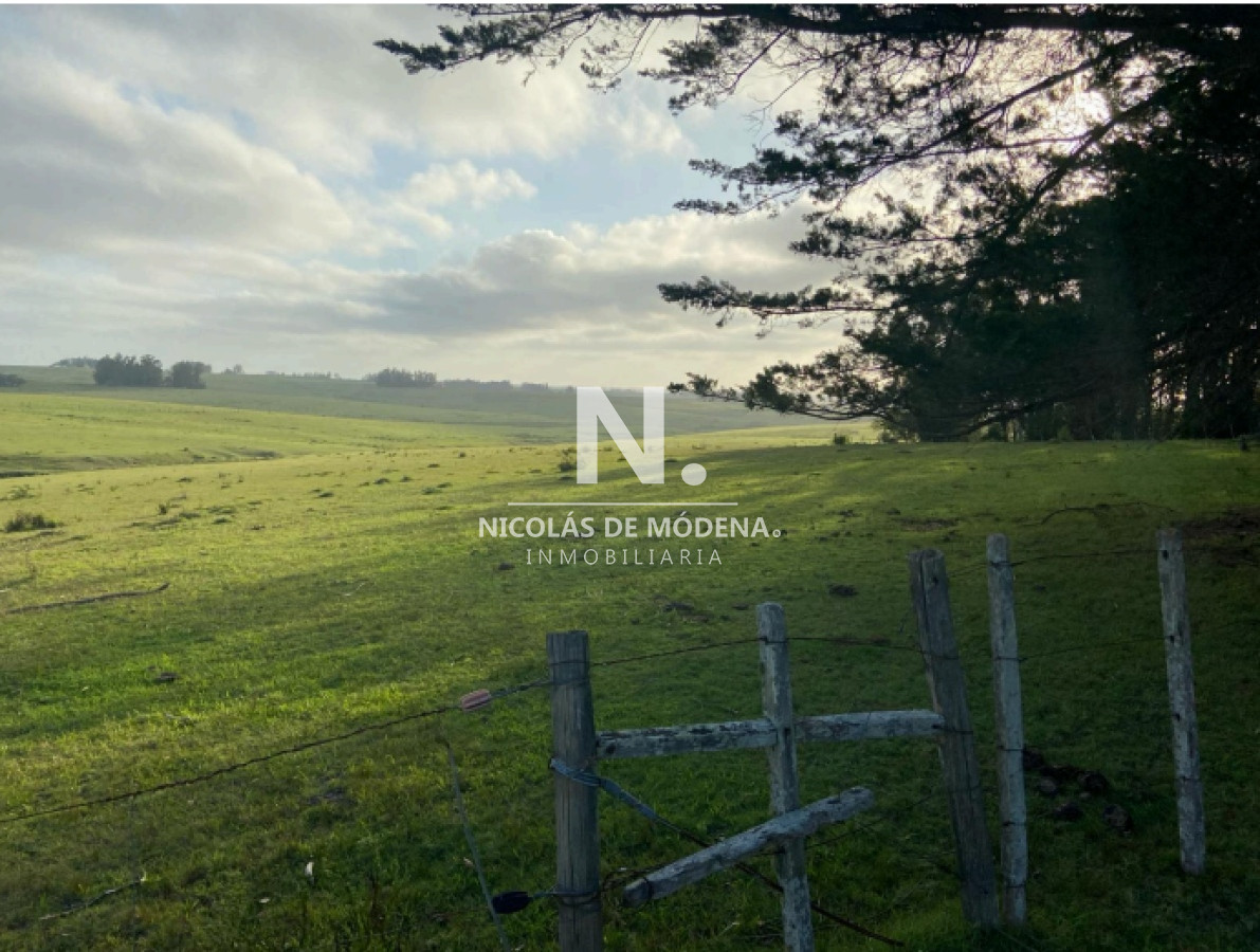 Vende excelente campo en  Jose Ignacio, ideal para fin turistico - GoPunta - Portal Inmobiliario de Punta del Este - Maldonado