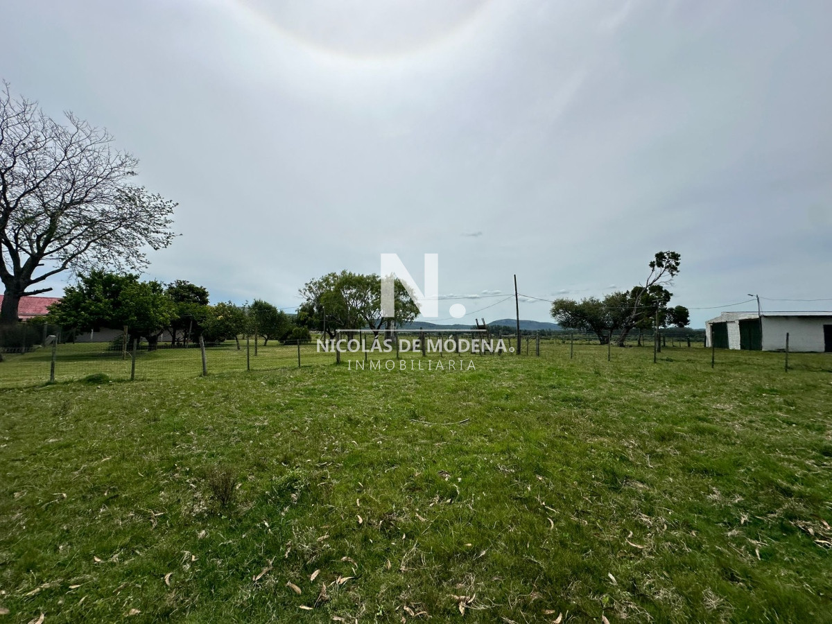 Campo