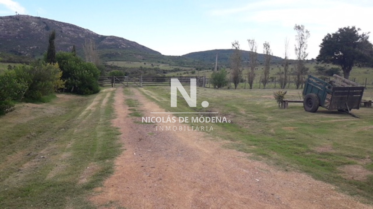 Campo
