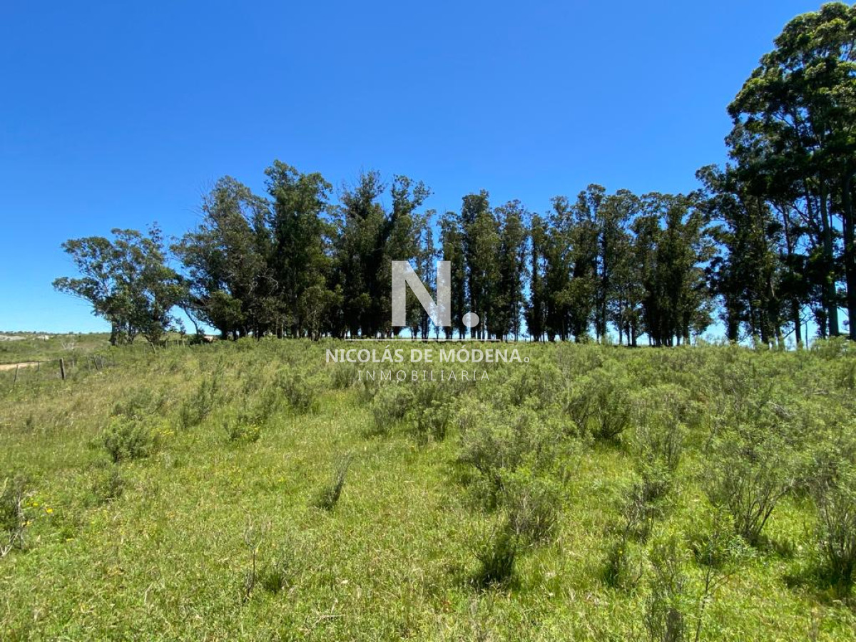 Campo a la venta en Abra del Perdomo  de 44has - GoPunta - Portal Inmobiliario de Punta del Este - Maldonado