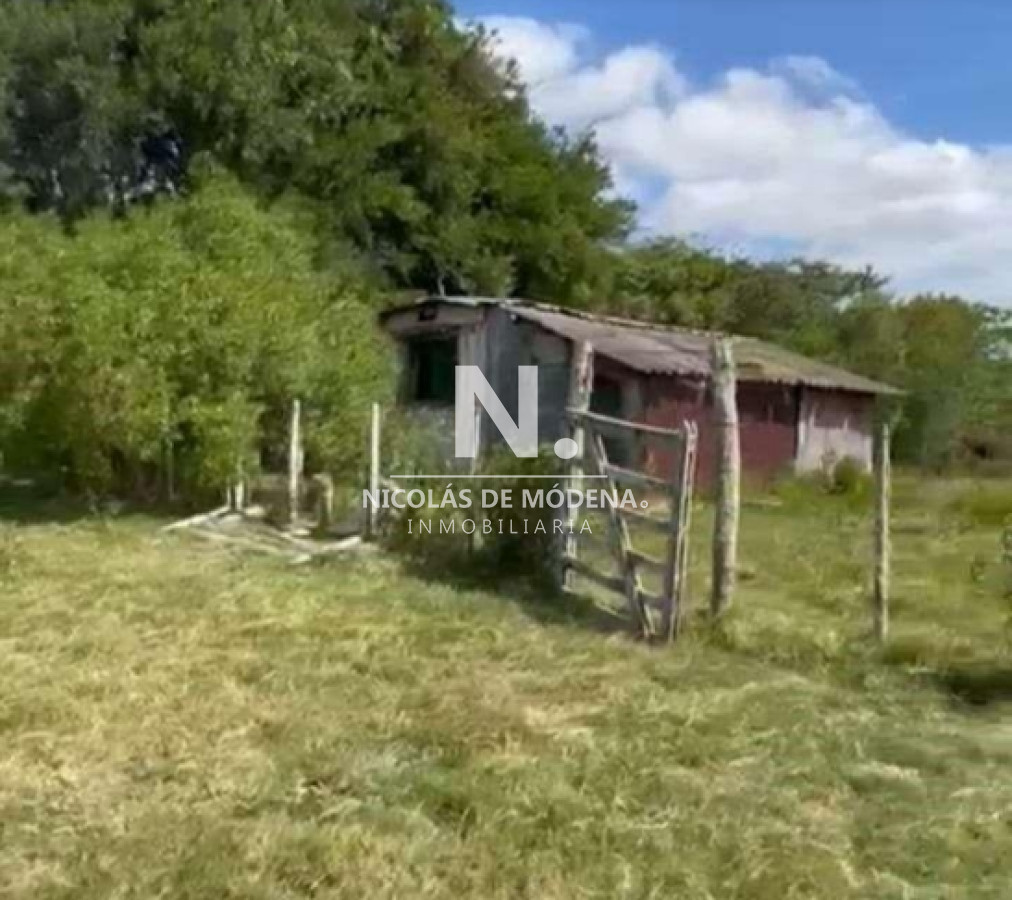 Vende Gran campo Ganadero  Forestal - GoPunta - Portal Inmobiliario de Punta del Este - Maldonado