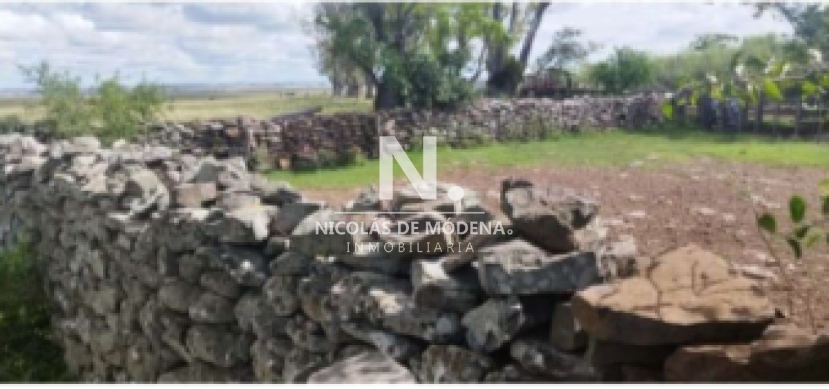 Vende campo en Salto, Costas de Arerungua. - GoPunta - Portal Inmobiliario de Punta del Este - Maldonado