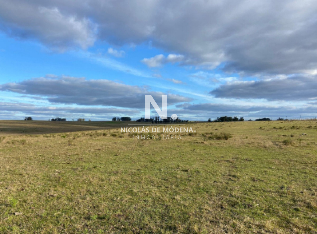 Gran campo Lavalleja - GoPunta - Portal Inmobiliario de Punta del Este - Maldonado