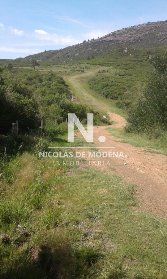 Campo