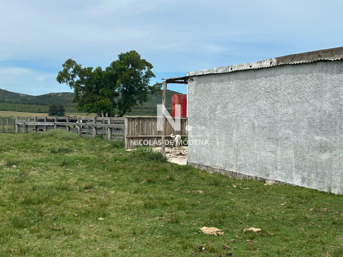 Campo en Maldonado   Gerona - GoPunta - Portal Inmobiliario de Punta del Este - Maldonado