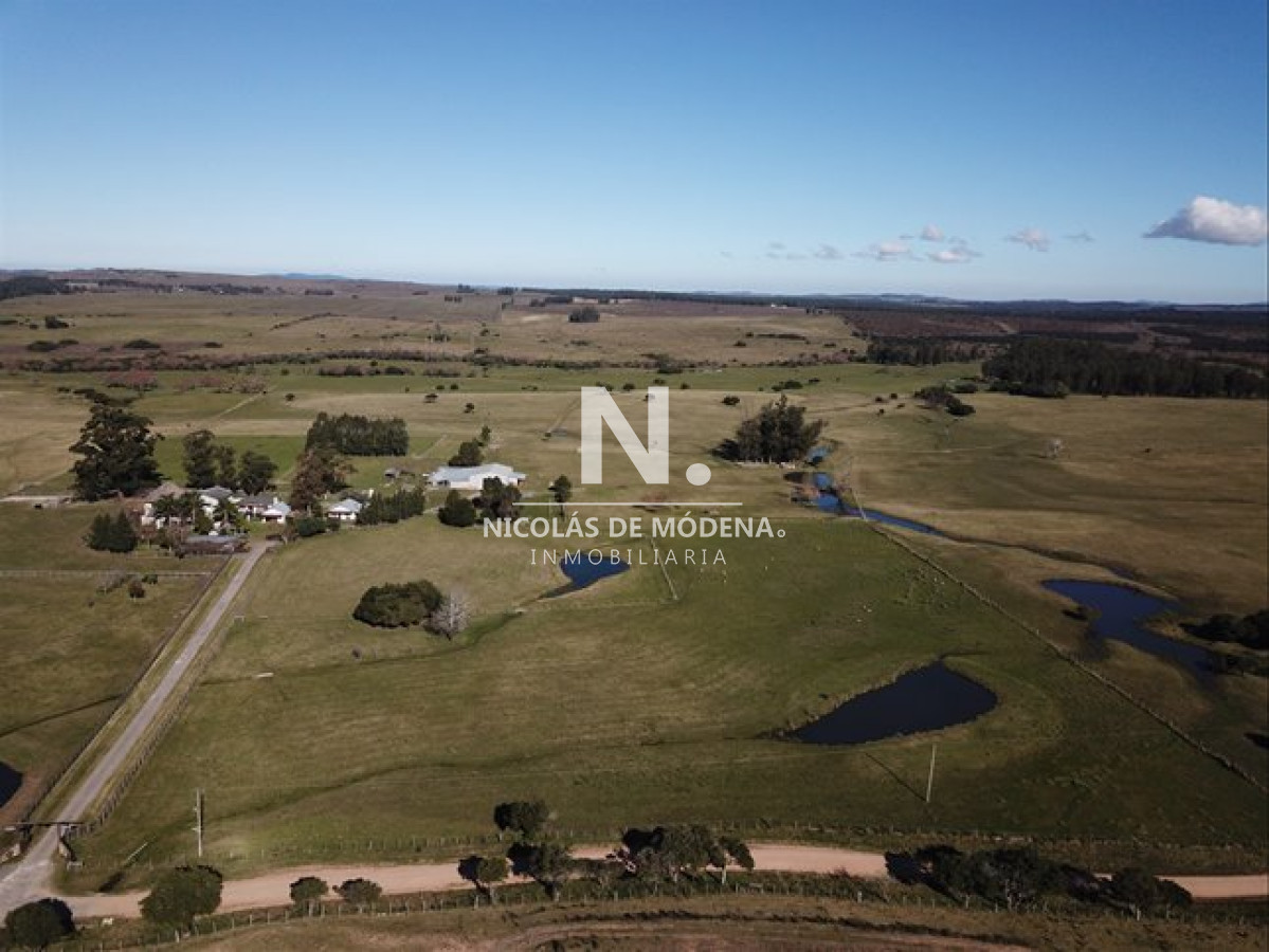 Vende campo mixto en Maldonado. - GoPunta - Portal Inmobiliario de Punta del Este - Maldonado