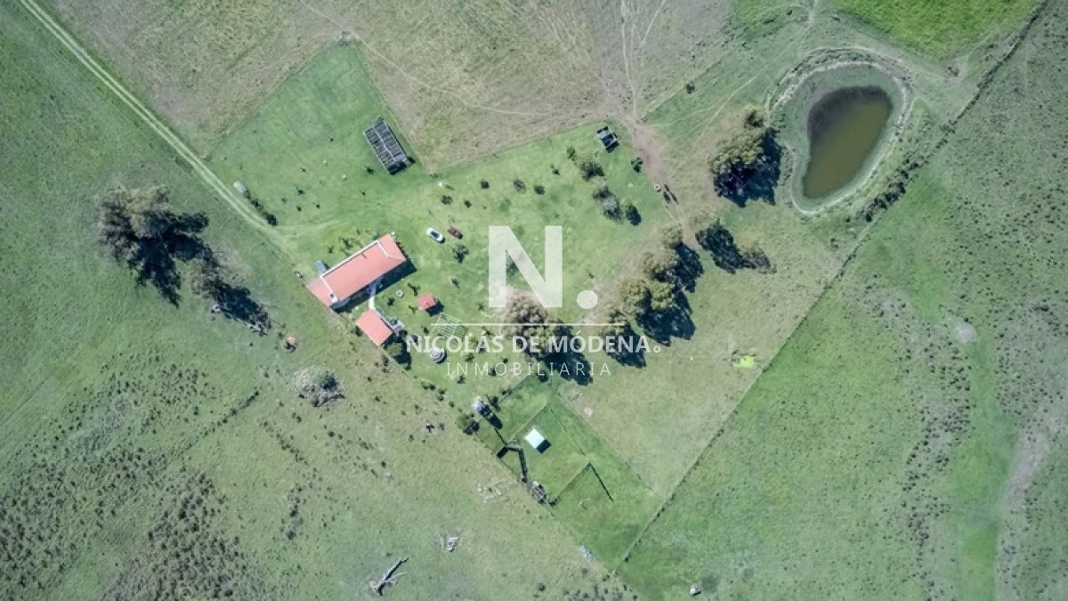 Campo