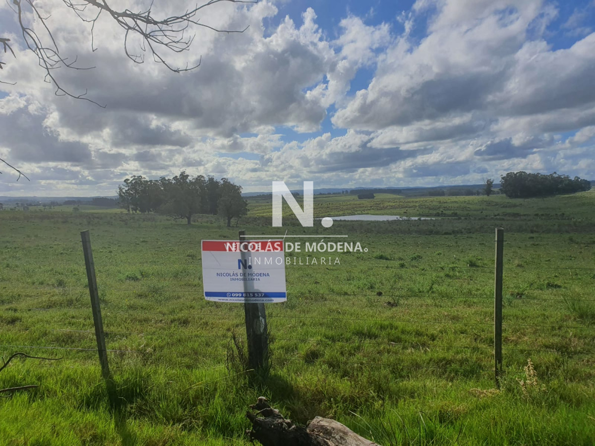 Campo de 63 hectáreas - GoPunta - Portal Inmobiliario de Punta del Este - Maldonado