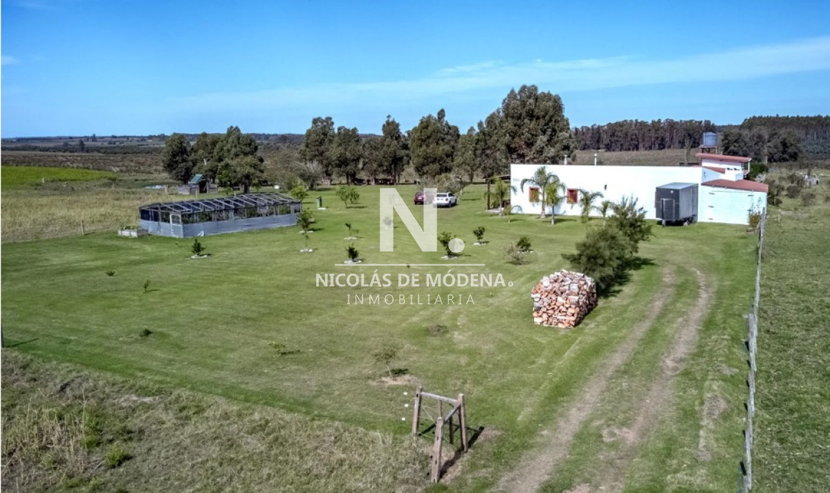 Campo