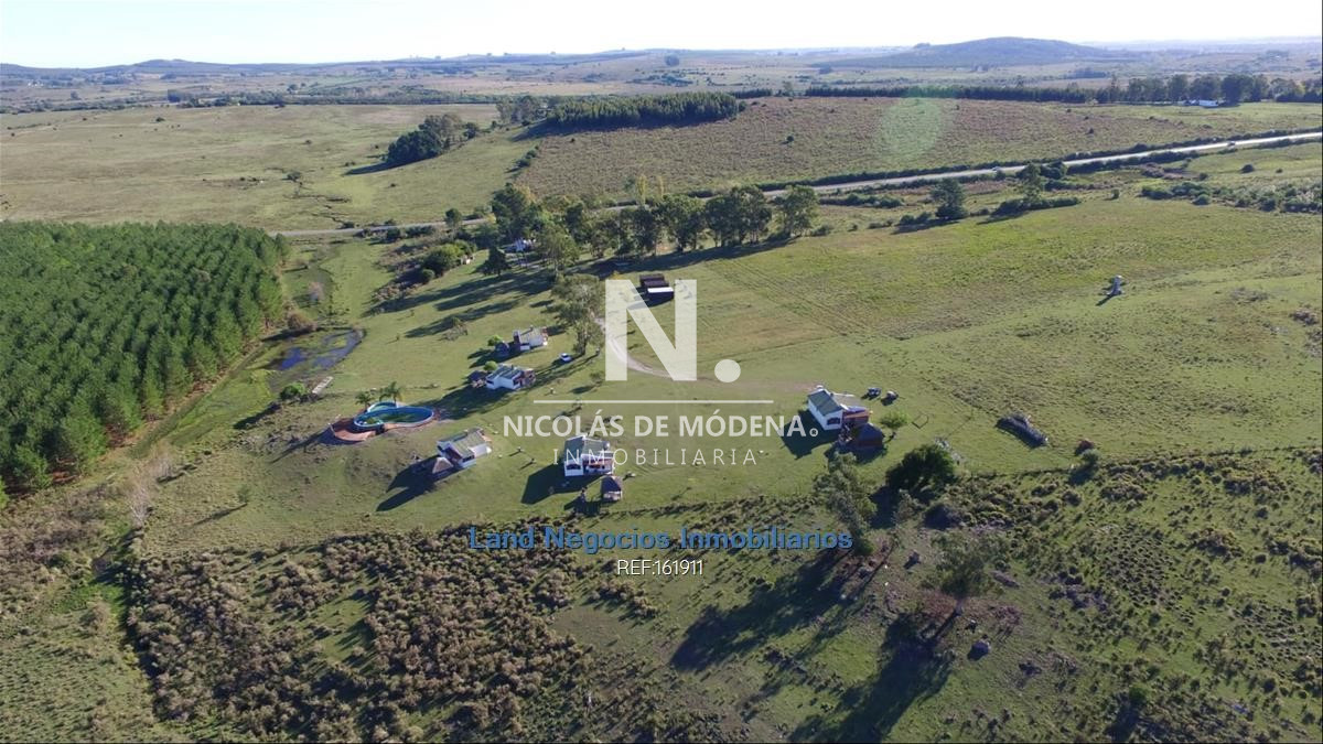 Campo