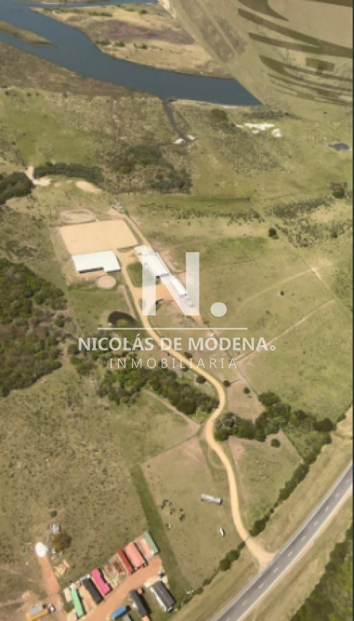 Campo