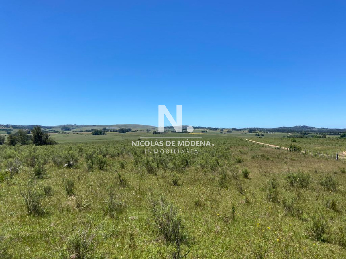 Campo a la venta en Abra del Perdomo  de 44has - GoPunta - Portal Inmobiliario de Punta del Este - Maldonado