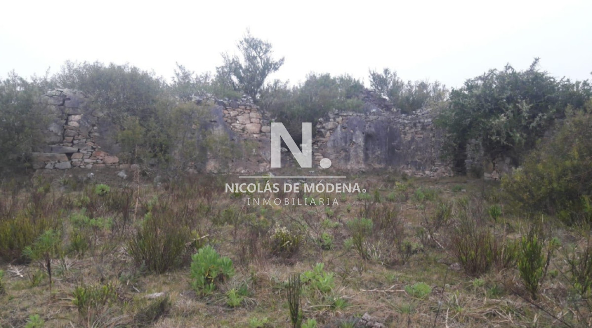 Campo
