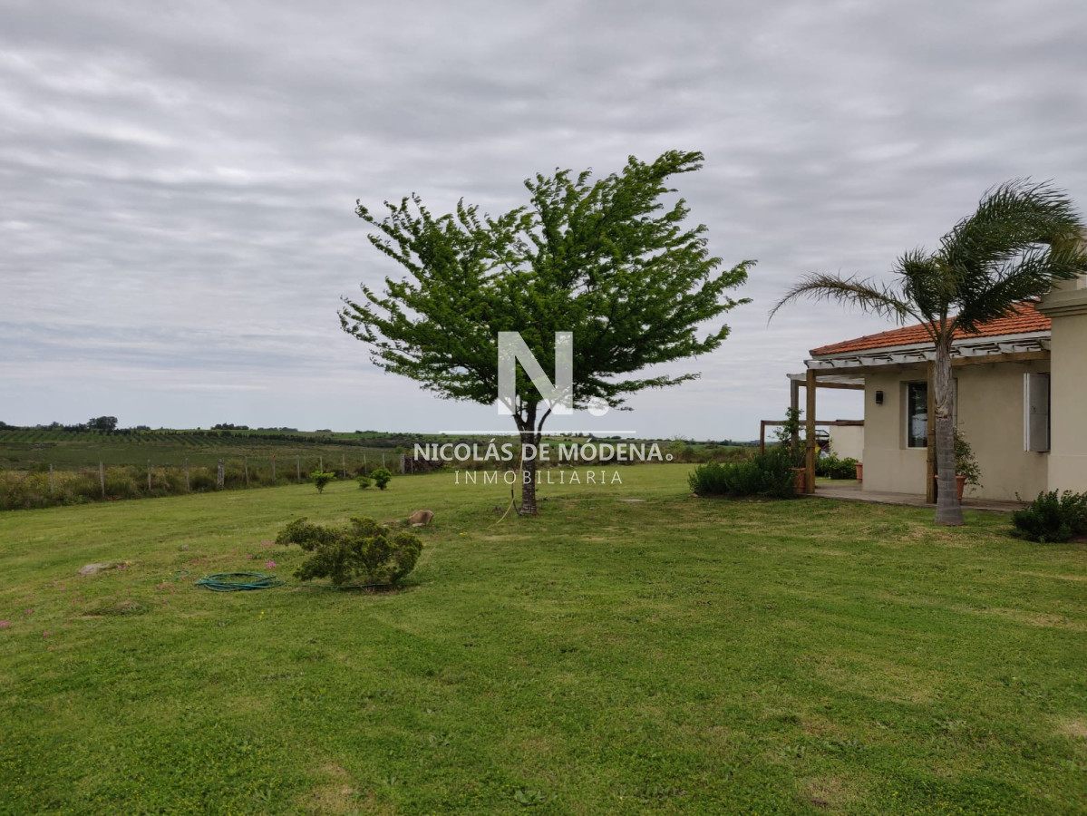 Campo