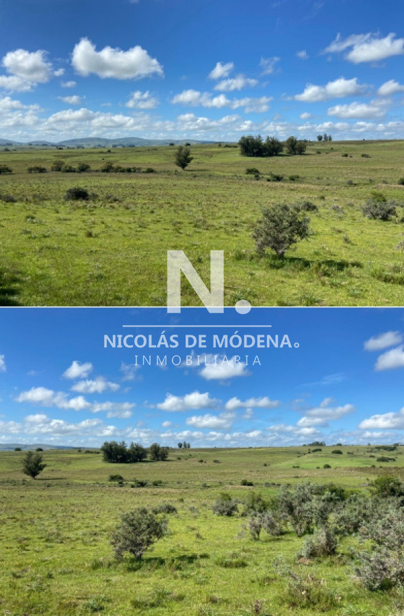 Campo ganadero en Pueblo Edén 40has - GoPunta - Portal Inmobiliario de Punta del Este - Maldonado