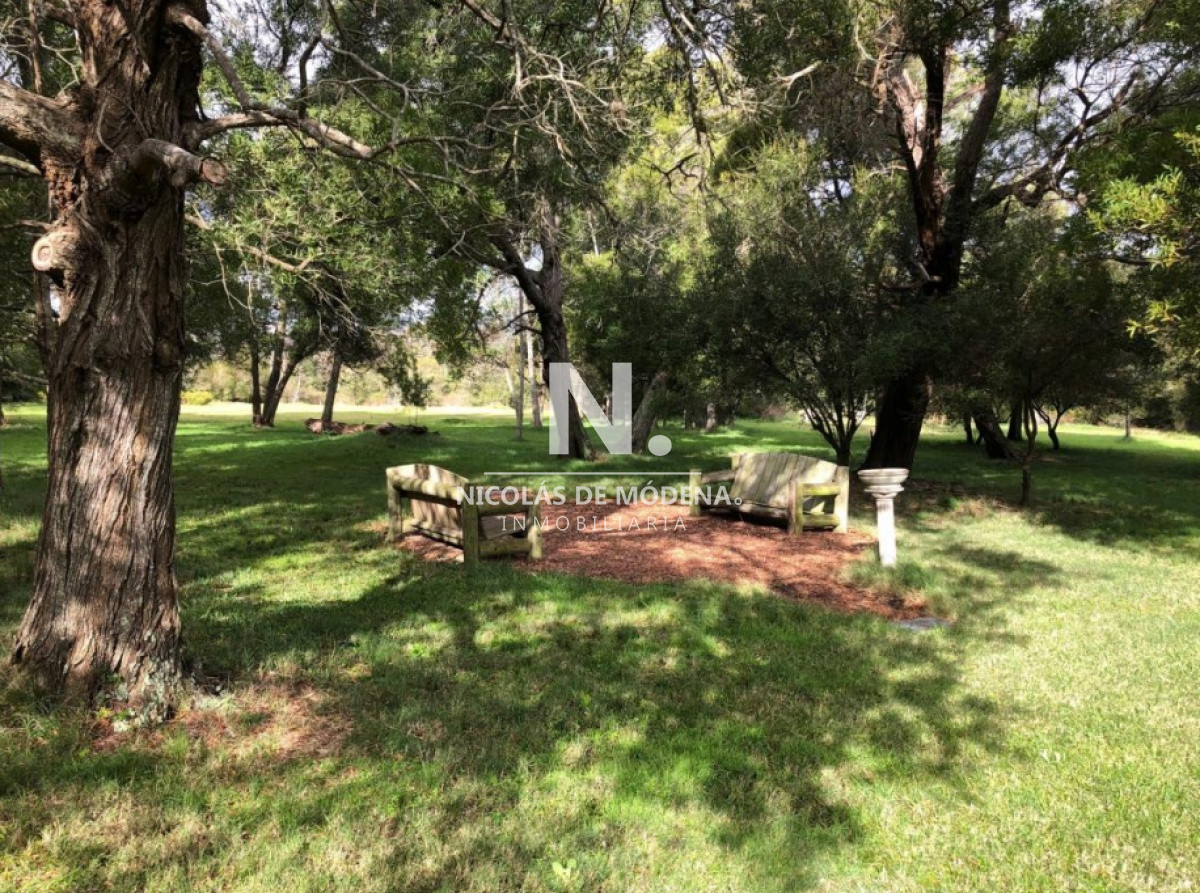 Campo