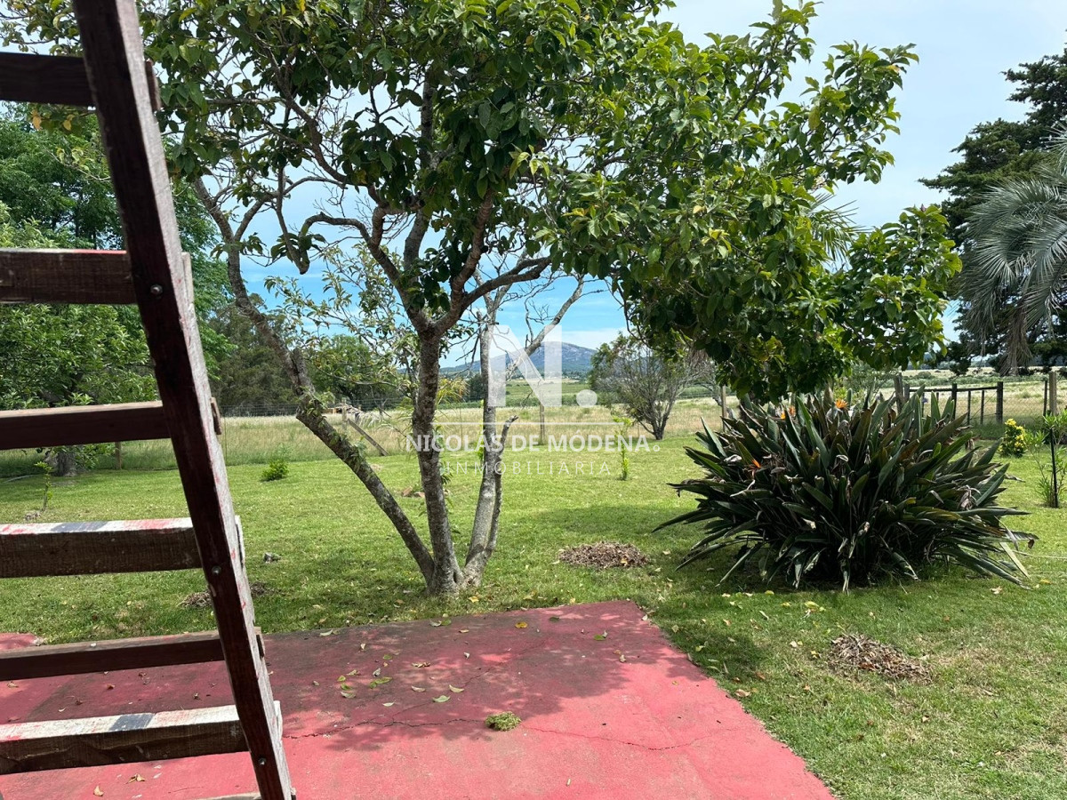 Campo en Maldonado   Gerona - GoPunta - Portal Inmobiliario de Punta del Este - Maldonado