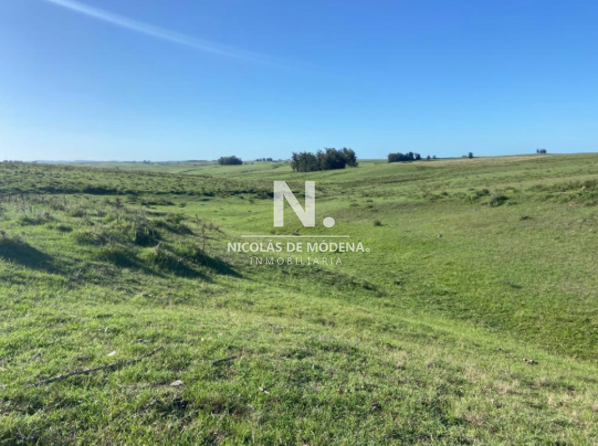 Campo en Venta en Garzón , Maldonado - GoPunta - Portal Inmobiliario de Punta del Este - Maldonado