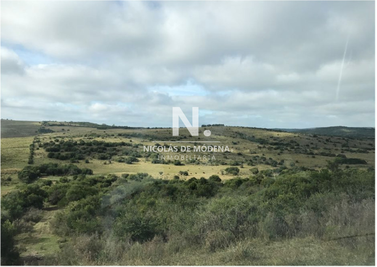 En venta campo criador en Montevideo   Treinta y Tres. - GoPunta - Portal Inmobiliario de Punta del Este - Maldonado