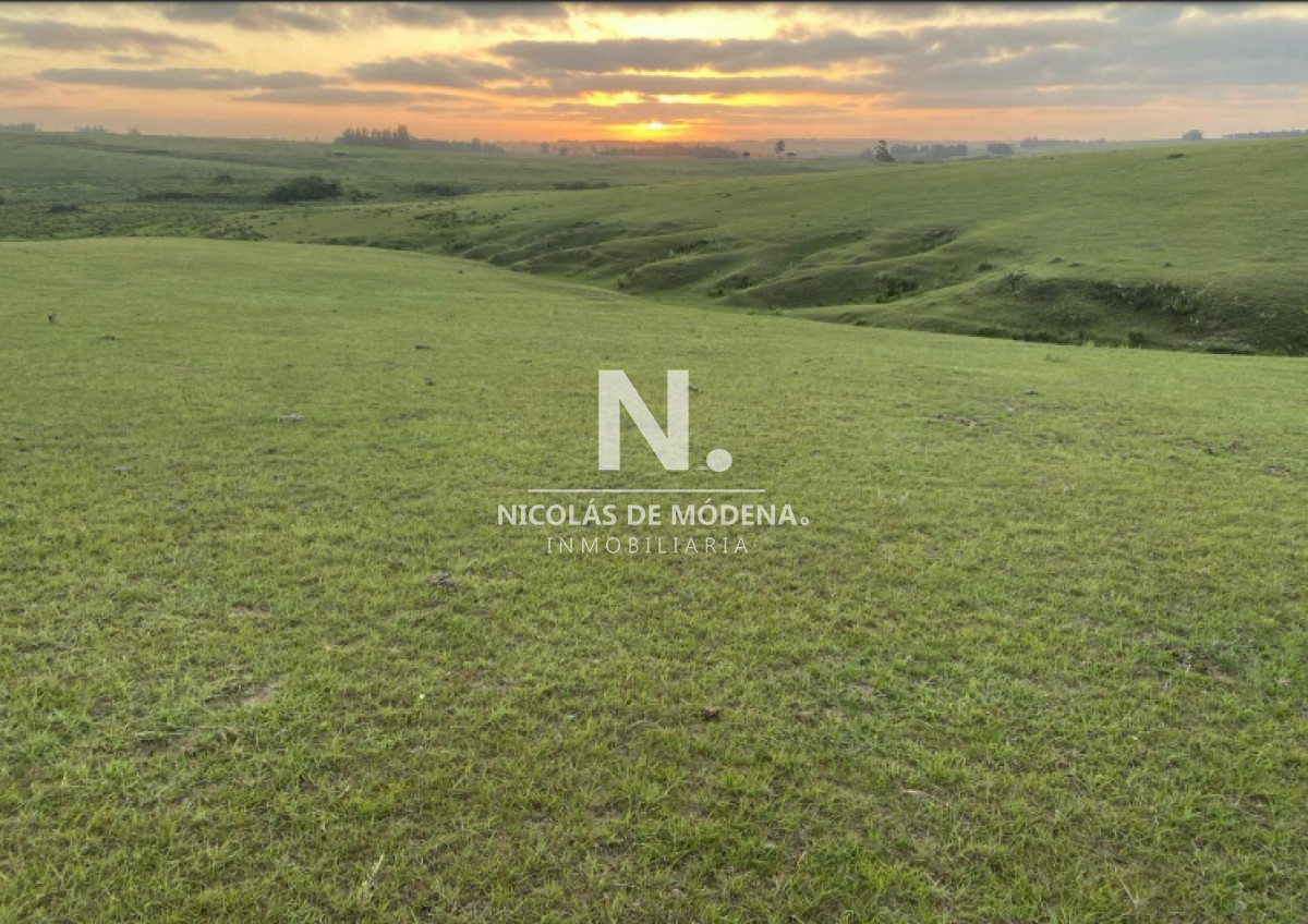 Vende excelente campo en  Jose Ignacio, ideal para fin turistico - GoPunta - Portal Inmobiliario de Punta del Este - Maldonado