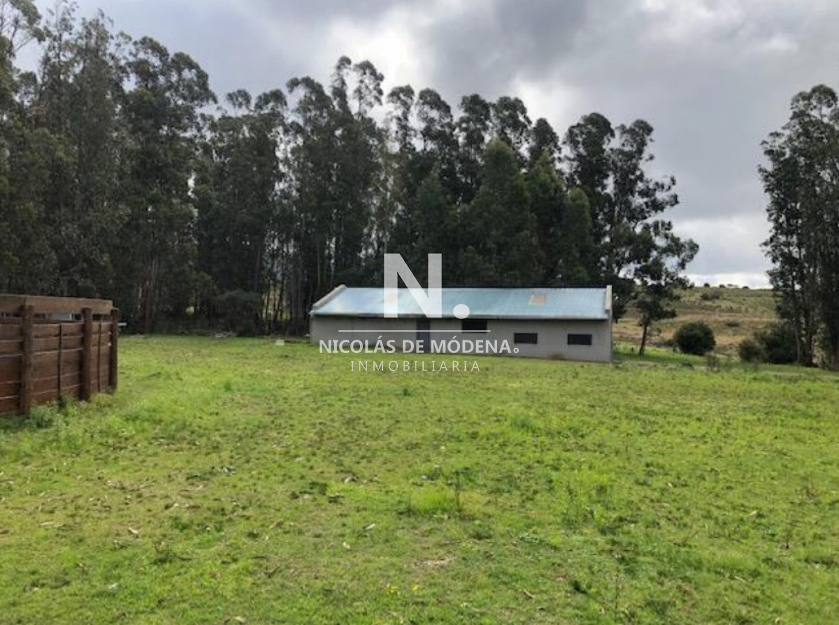 Campo
