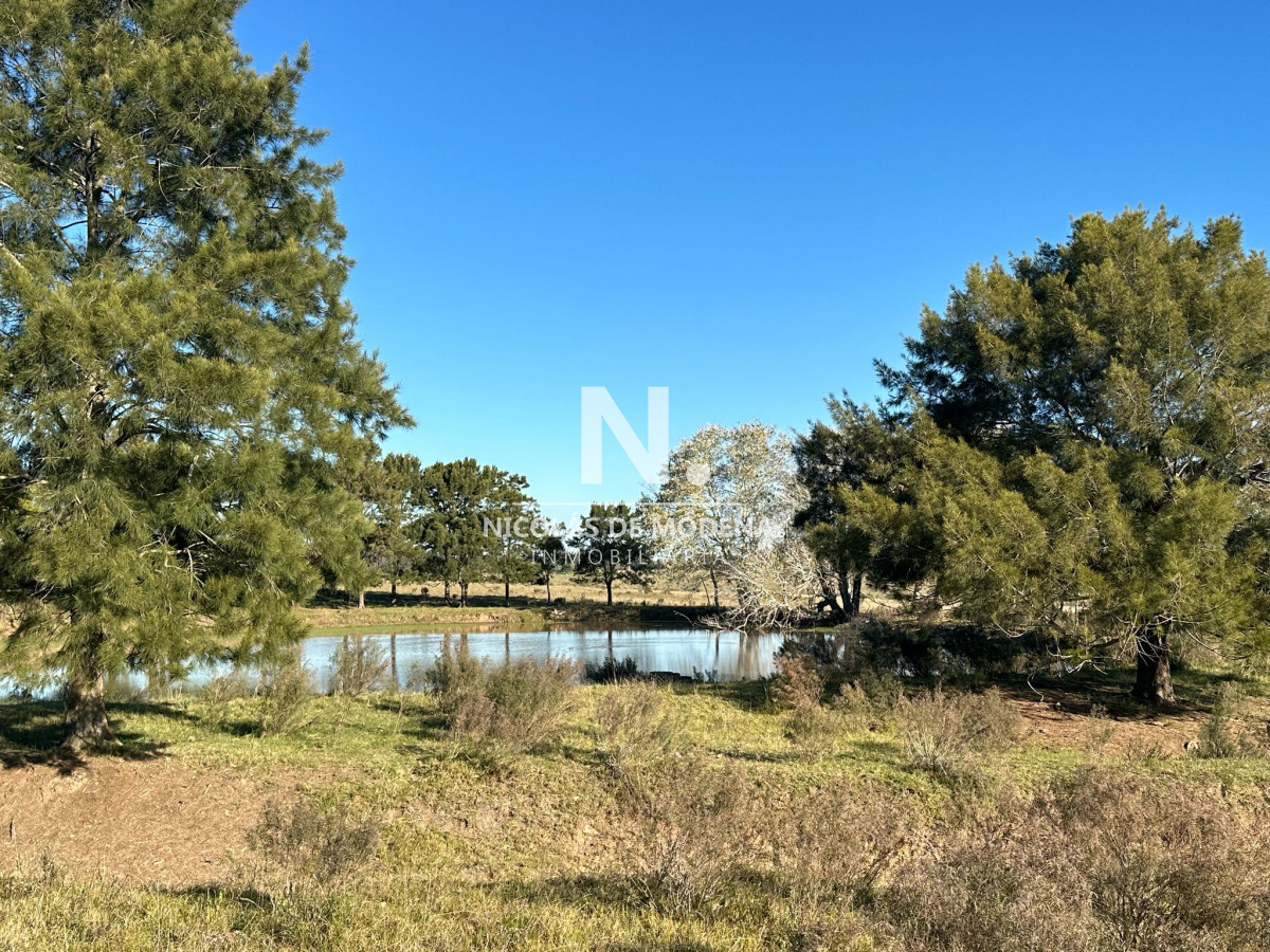 Vende campo en San Carlos Maldonado. - GoPunta - Portal Inmobiliario de Punta del Este - Maldonado