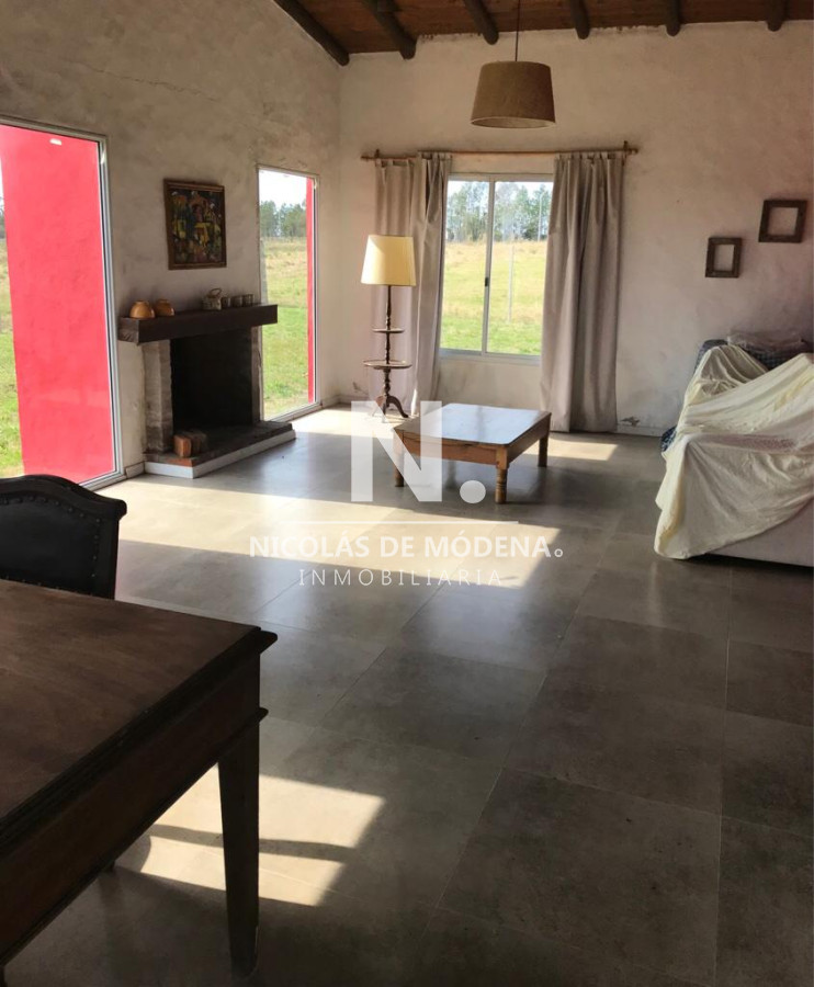 Campo de 63 hectáreas - GoPunta - Portal Inmobiliario de Punta del Este - Maldonado