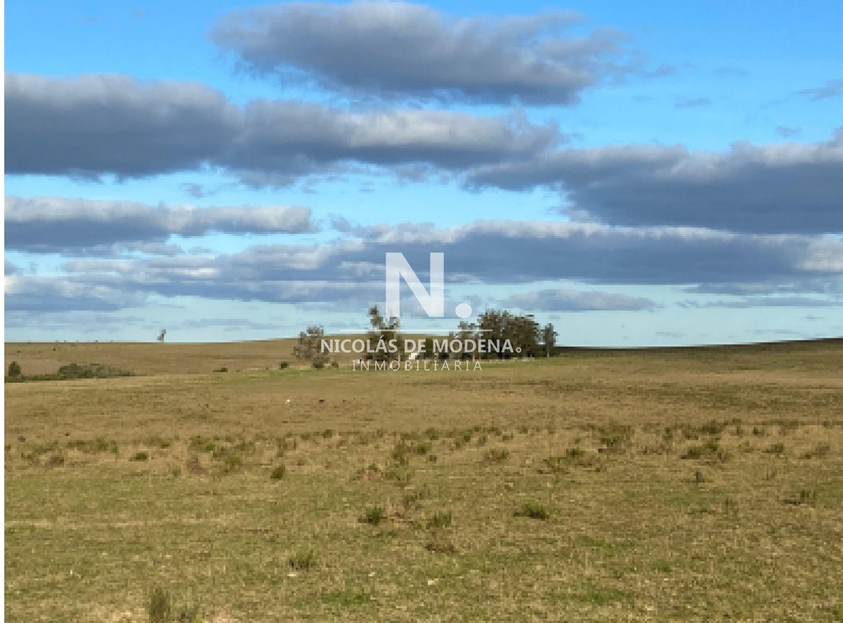 Gran campo Lavalleja - GoPunta - Portal Inmobiliario de Punta del Este - Maldonado