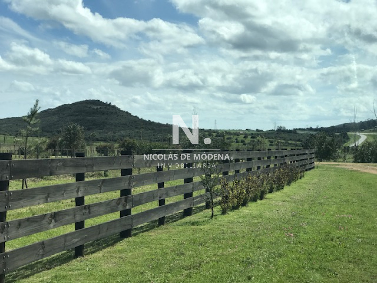 Campo