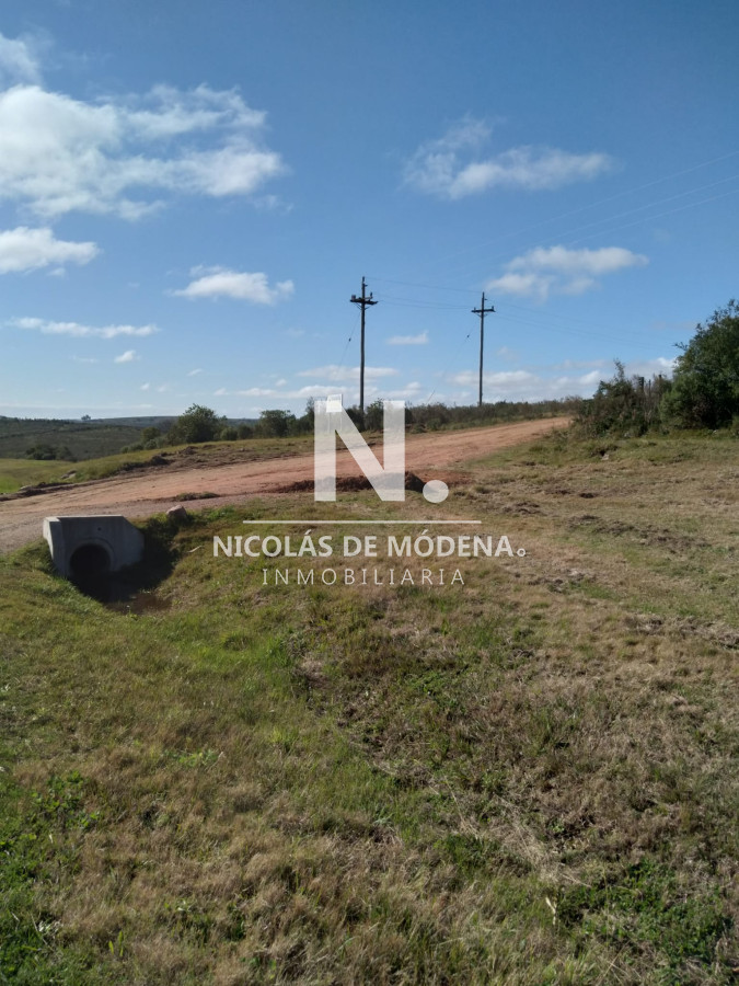 Campo
