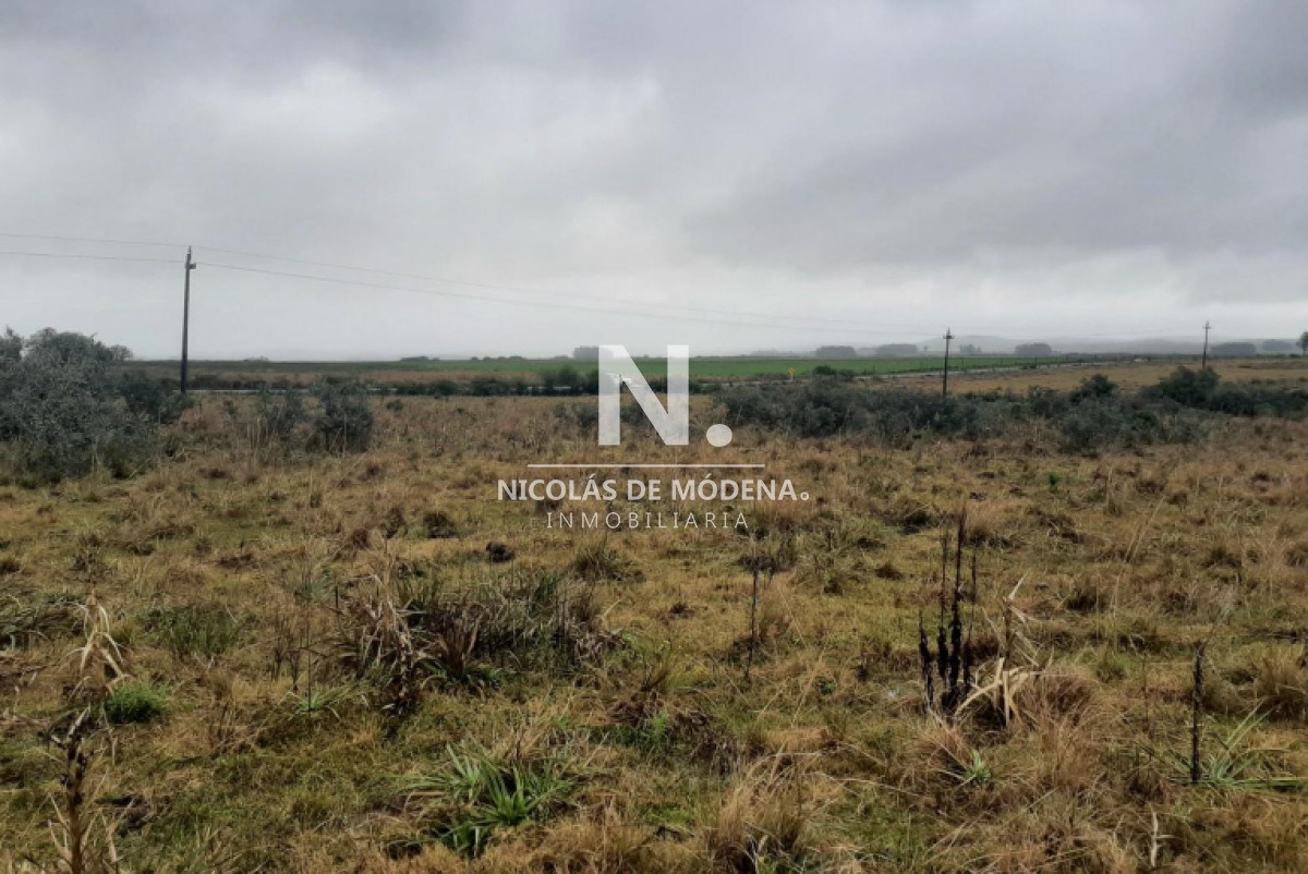Campo en Maldonado   Garzon en venta. - GoPunta - Portal Inmobiliario de Punta del Este - Maldonado