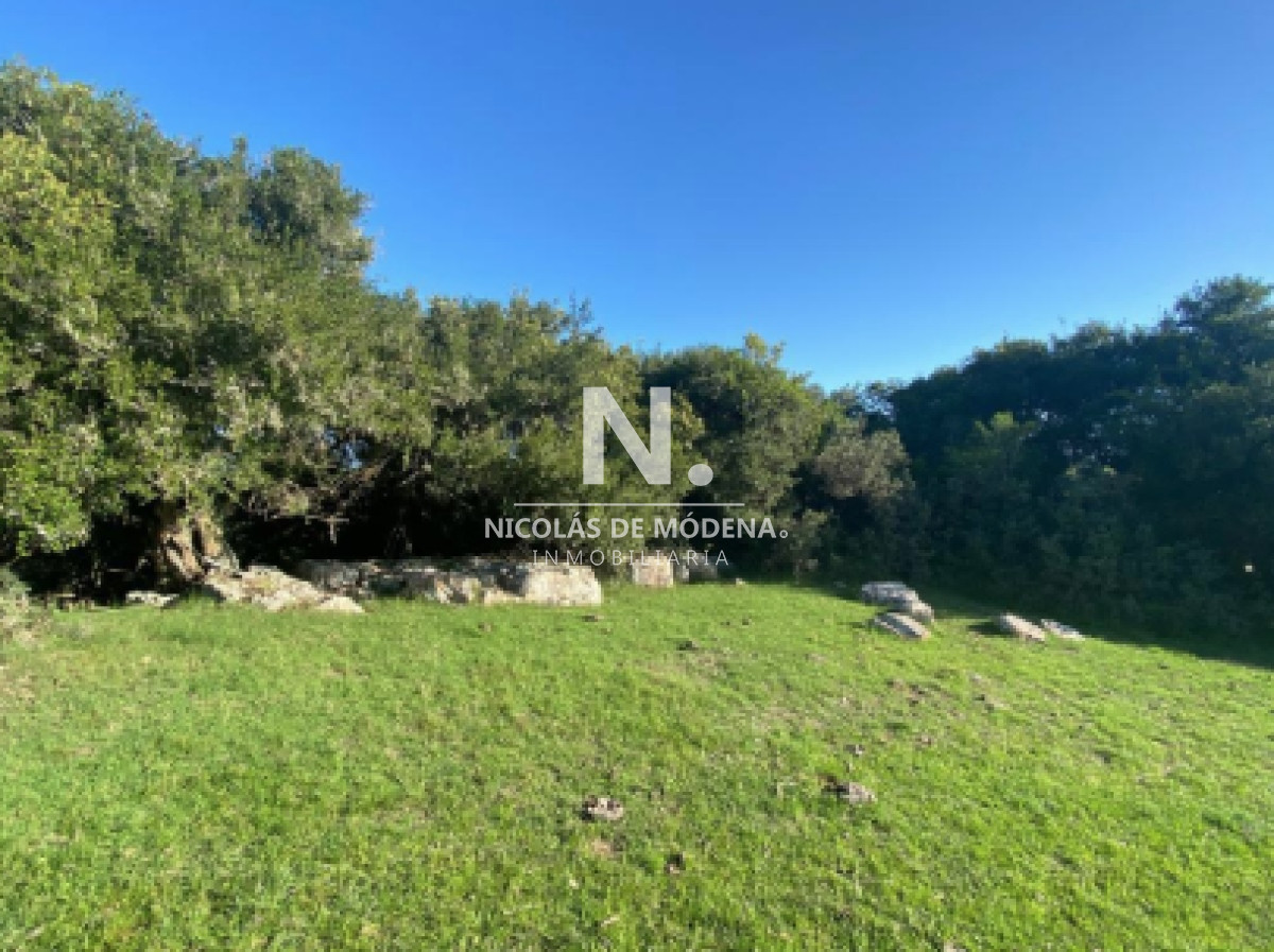 Campo en Venta en Garzón , Maldonado - GoPunta - Portal Inmobiliario de Punta del Este - Maldonado