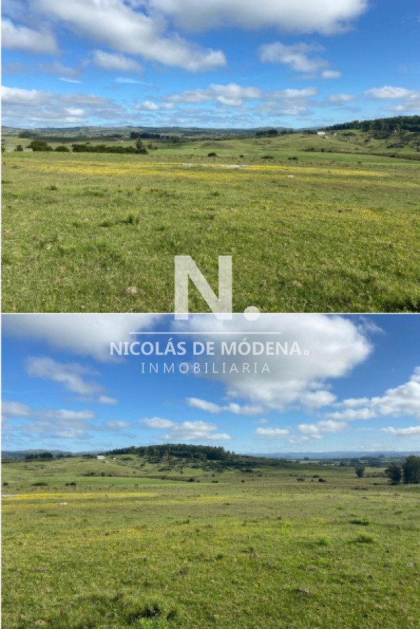 Campo ganadero en Pueblo Edén 40has - GoPunta - Portal Inmobiliario de Punta del Este - Maldonado