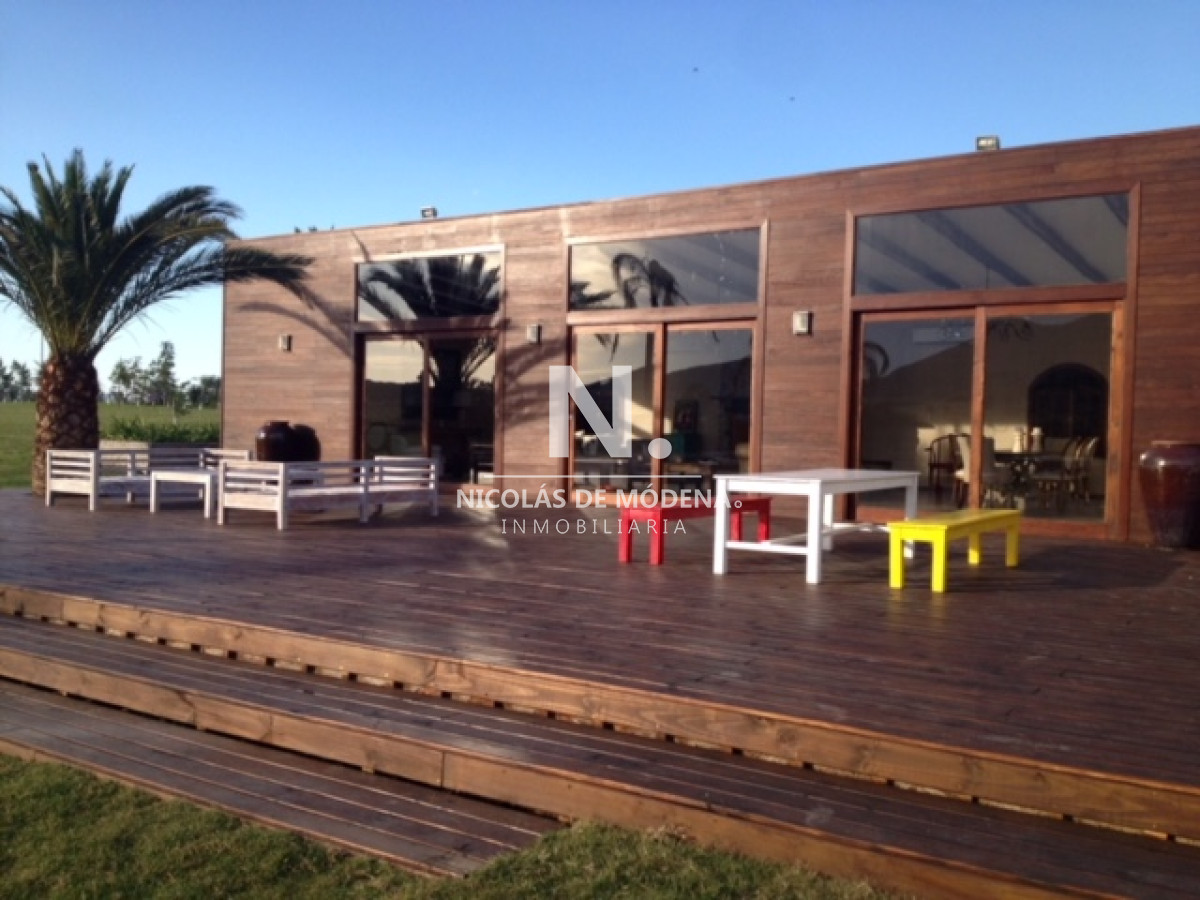 Campo