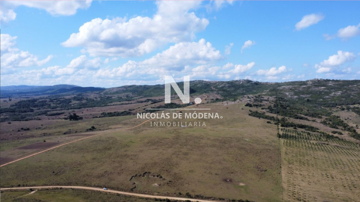 Campo