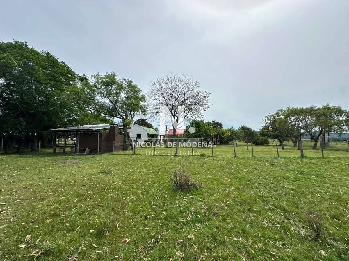 Campo