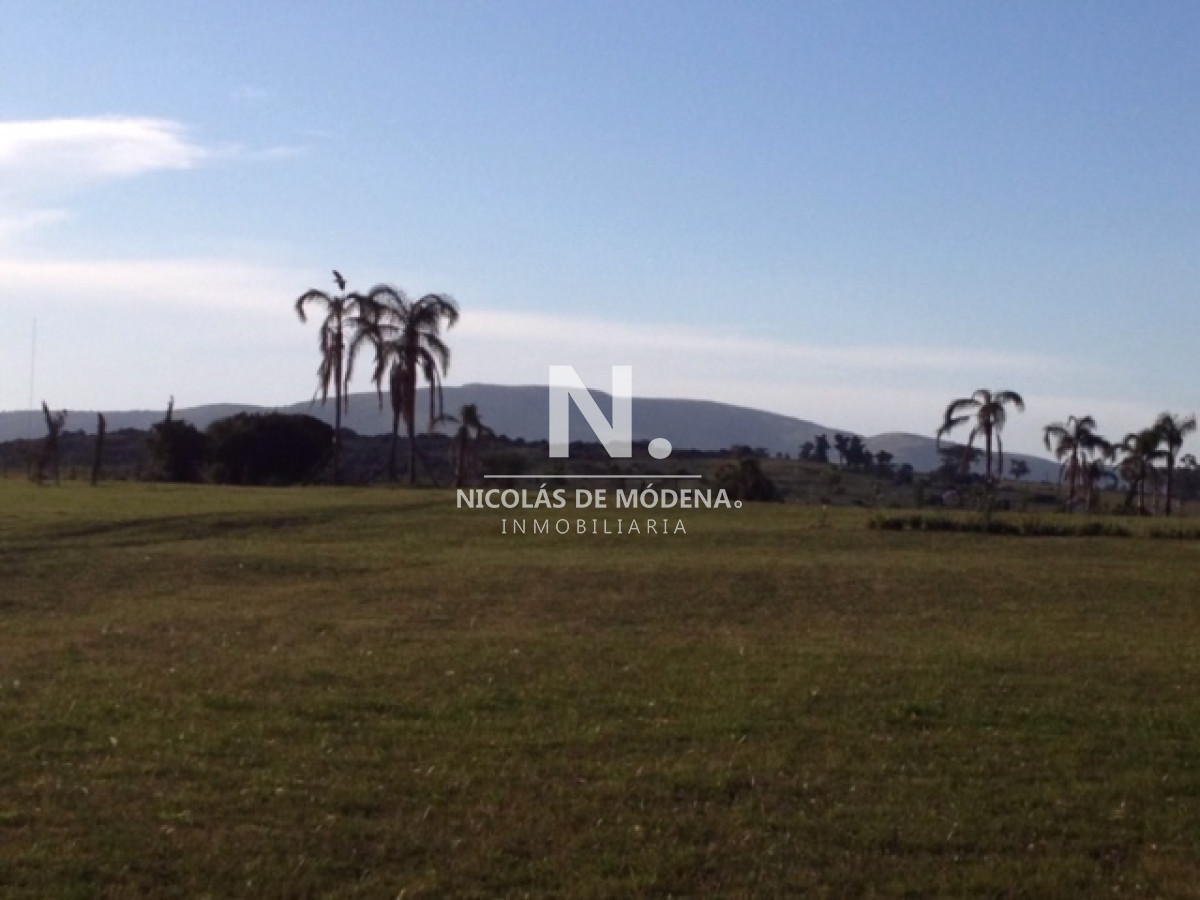 Campo