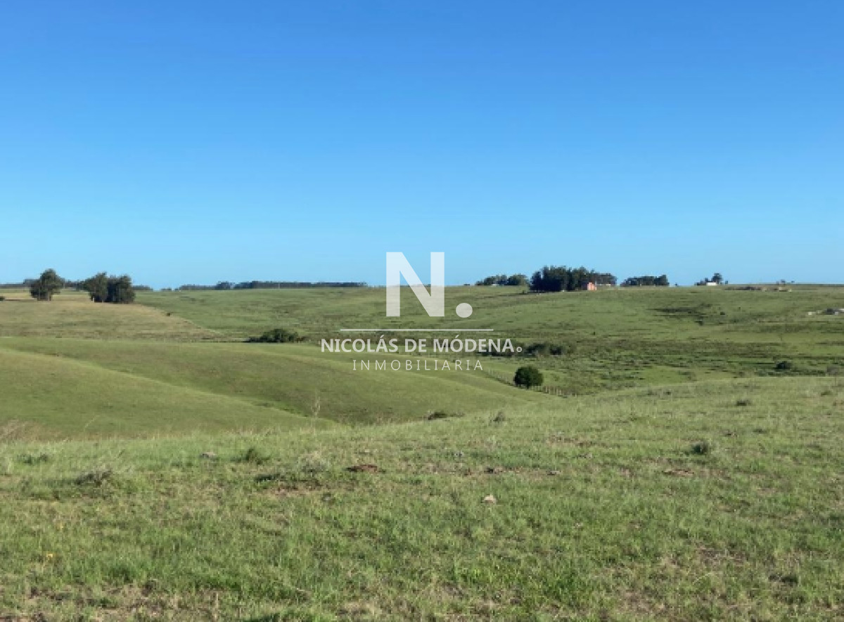 Campo en Venta en Garzón , Maldonado - GoPunta - Portal Inmobiliario de Punta del Este - Maldonado