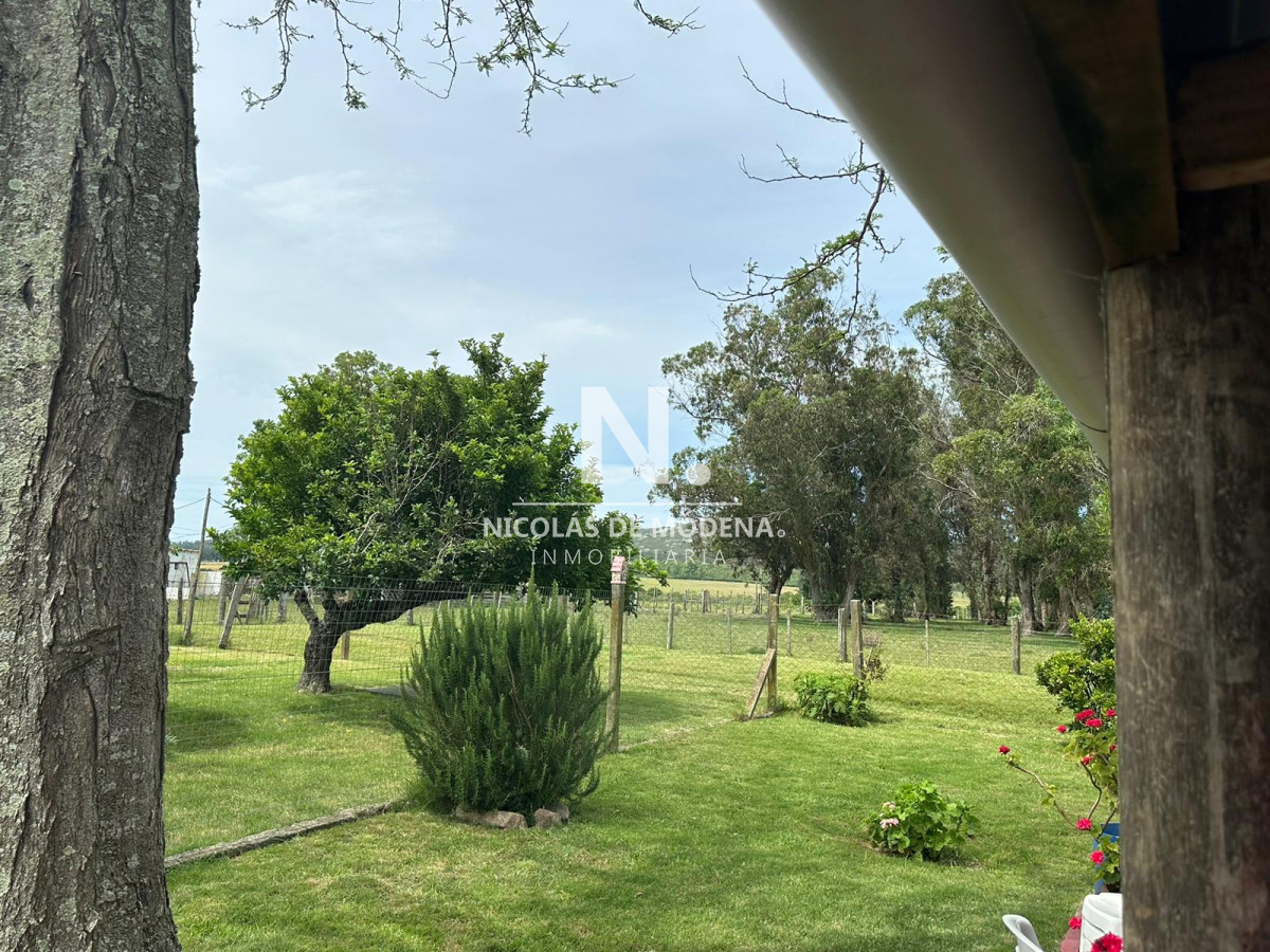 Campo