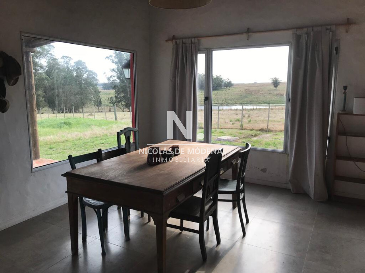 Campo de 63 hectáreas - GoPunta - Portal Inmobiliario de Punta del Este - Maldonado