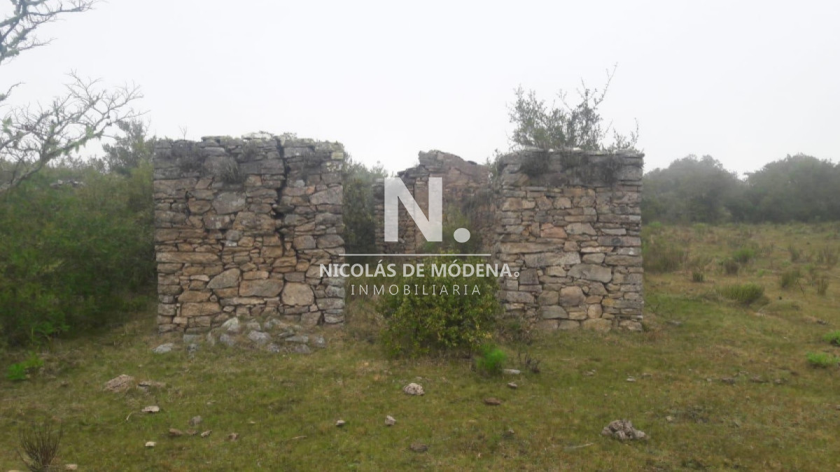 Campo