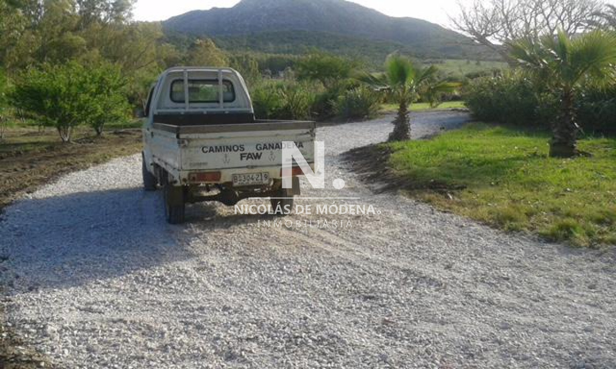 Campo