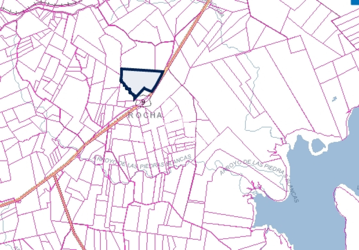Campo
