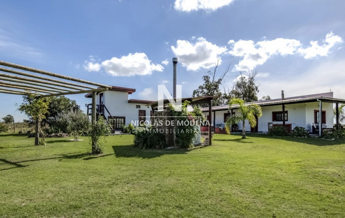 Campo
