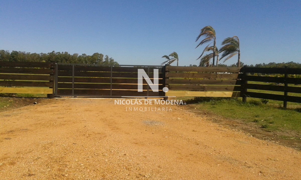 Campo