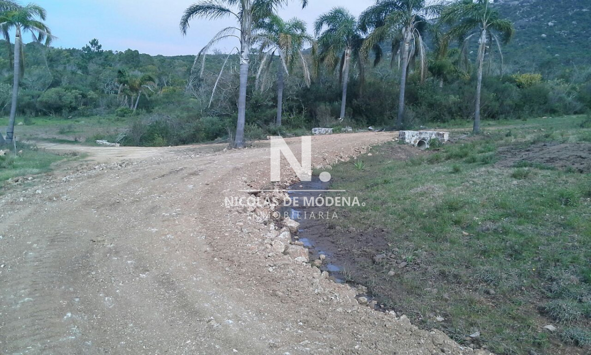 Campo